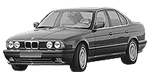 BMW E34 P174A Fault Code